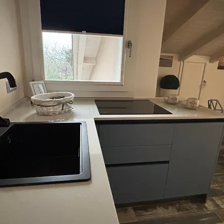 Quercus Hom&xperiences *