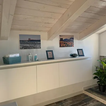 Quercus Hom&xperiences