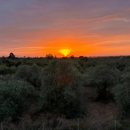 Quercus Hom&xperiences * Villa Gorizia